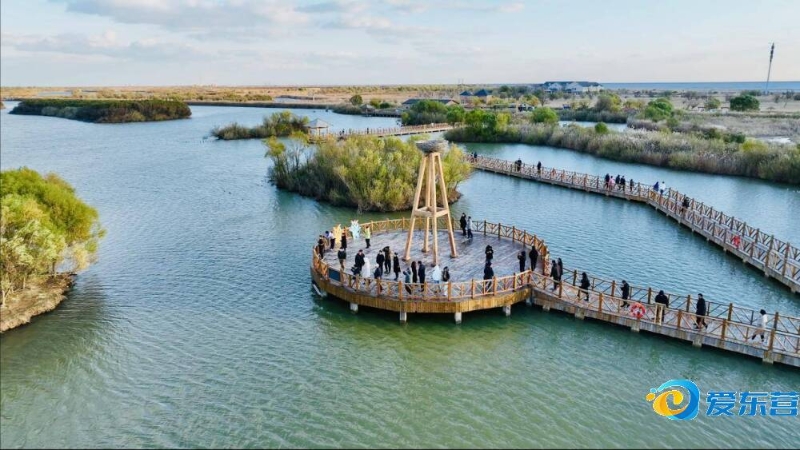 渐在比赛中 渐在比赛中